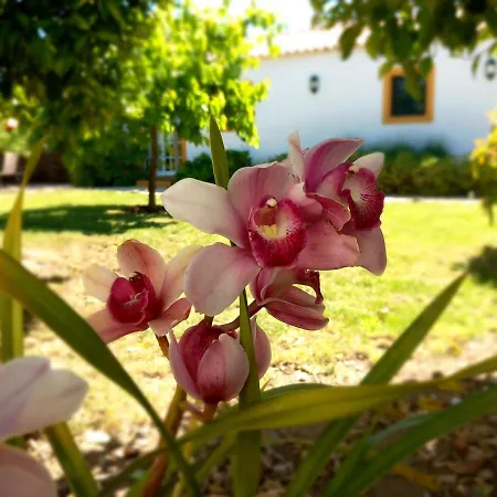 O Ninho Do Rei فيلا دي ري