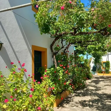 O Ninho Do Rei Διαμέρισμα