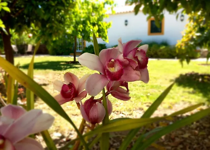 O Ninho Do Rei فيلا دي ري