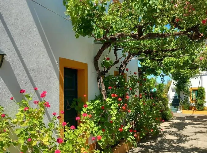 O Ninho Do Rei Διαμέρισμα